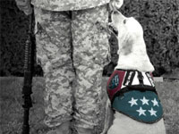 logo-nw-battle-buddies